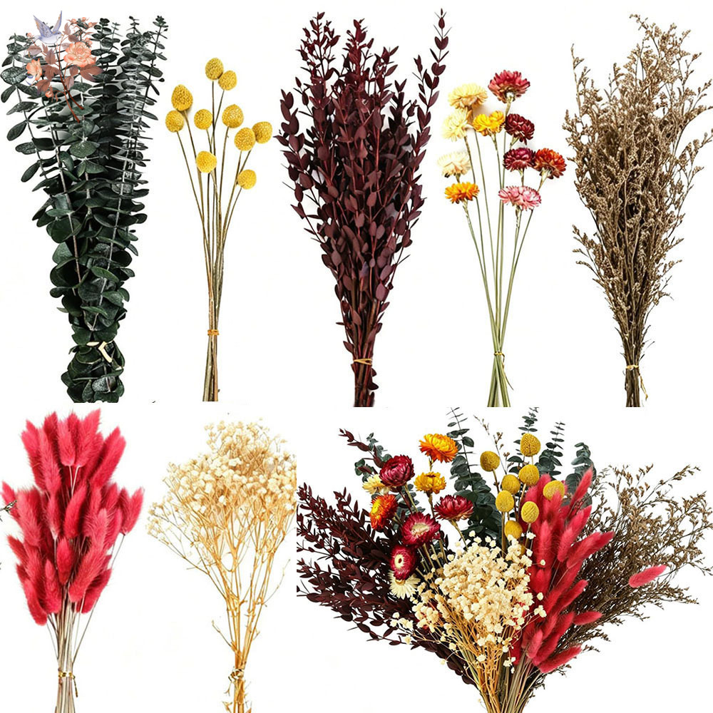 Florist Flower Supply - Set di Fiori Secchi in Grandi