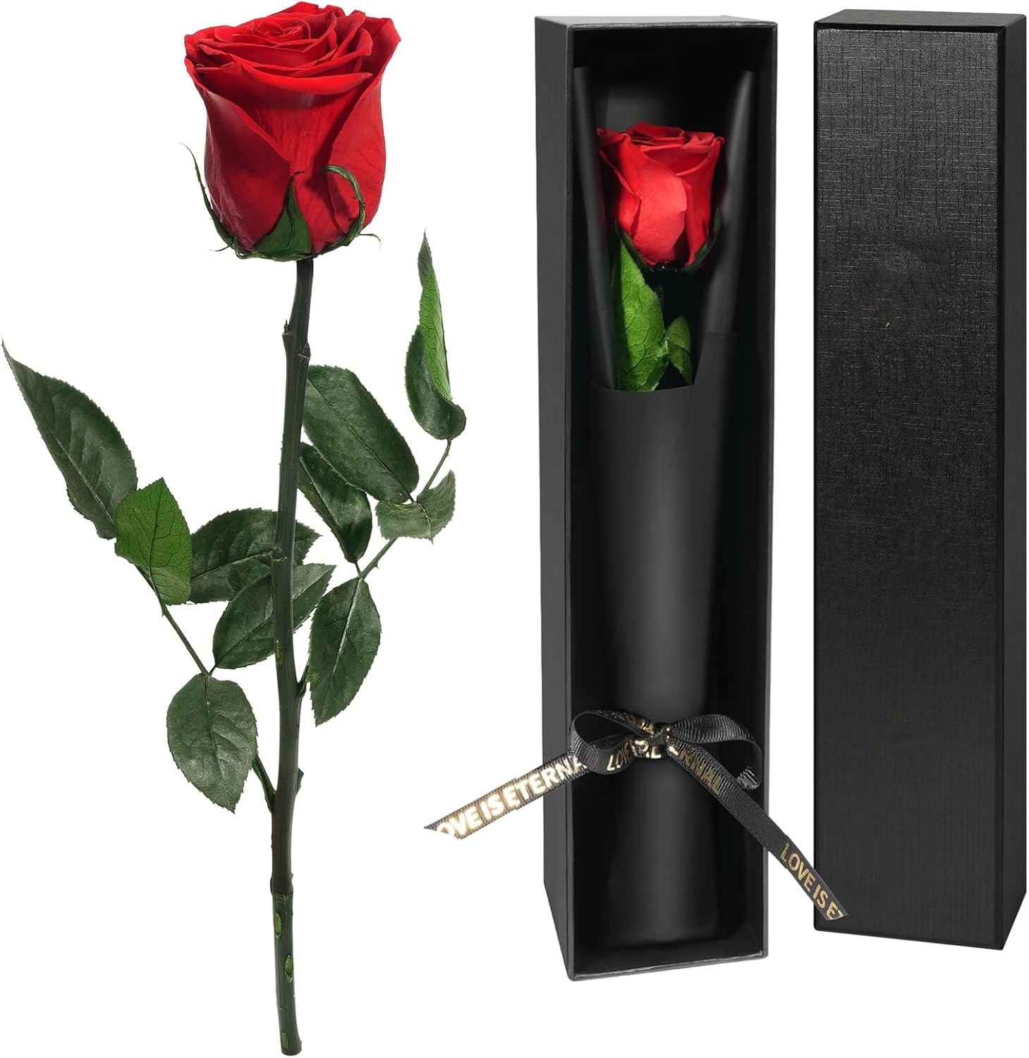 Florist Supply Bulk - Rosa Stabilizzata a Stelo Singolo, Regalo