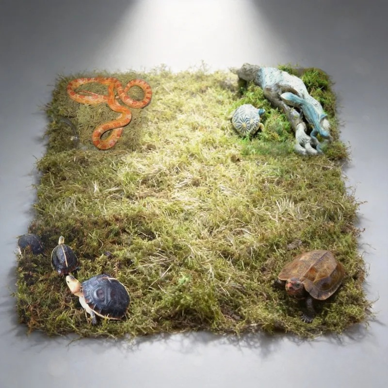 Preserved Moss Sheet - Muschio Naturale Essiccato per Terrari di