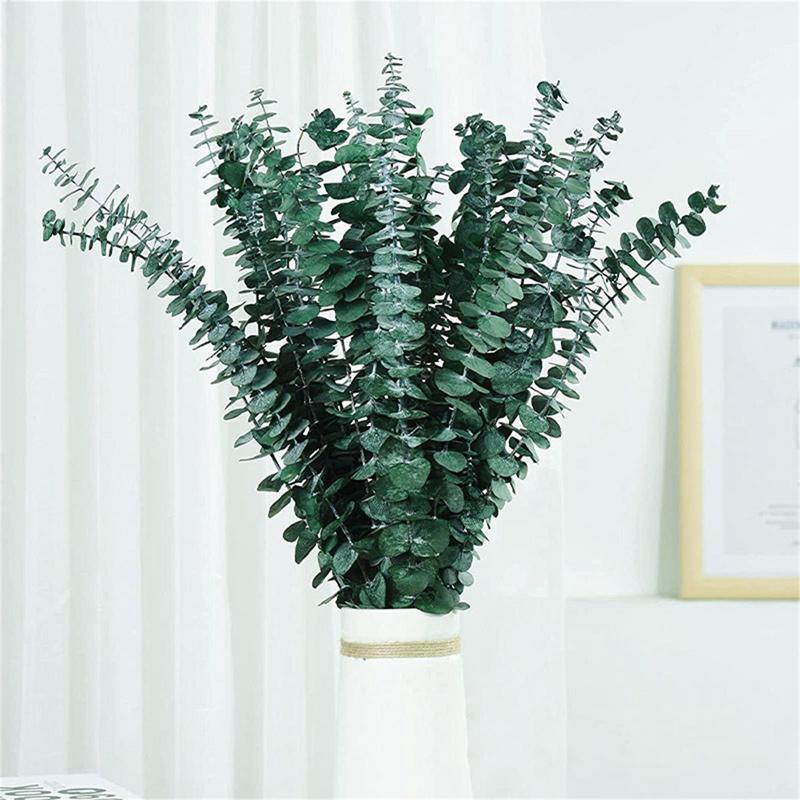 10 pezzi di foglie di eucalipt - Eucalyptus Preserved recensione e prezzo