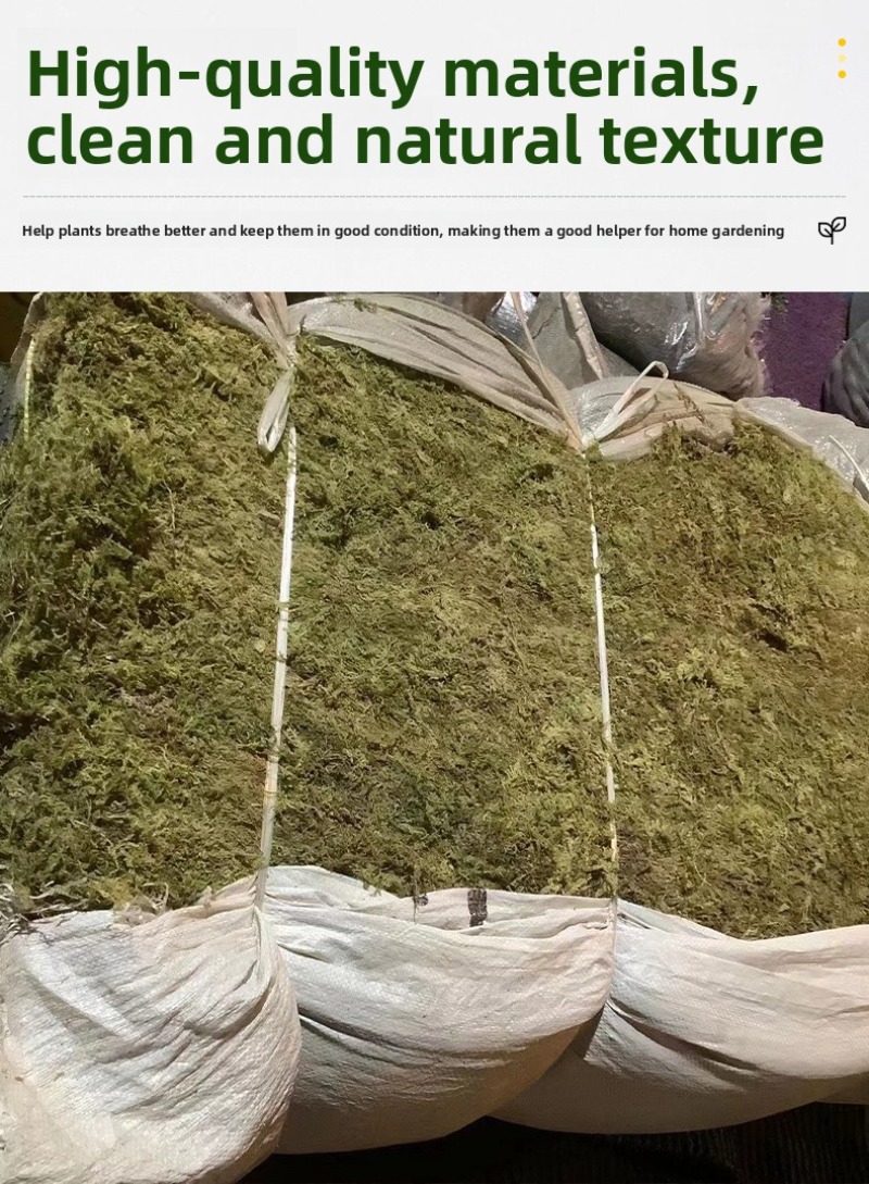 Muschio Naturale Essiccato per - Preserved Moss Sheet recensione e prezzo