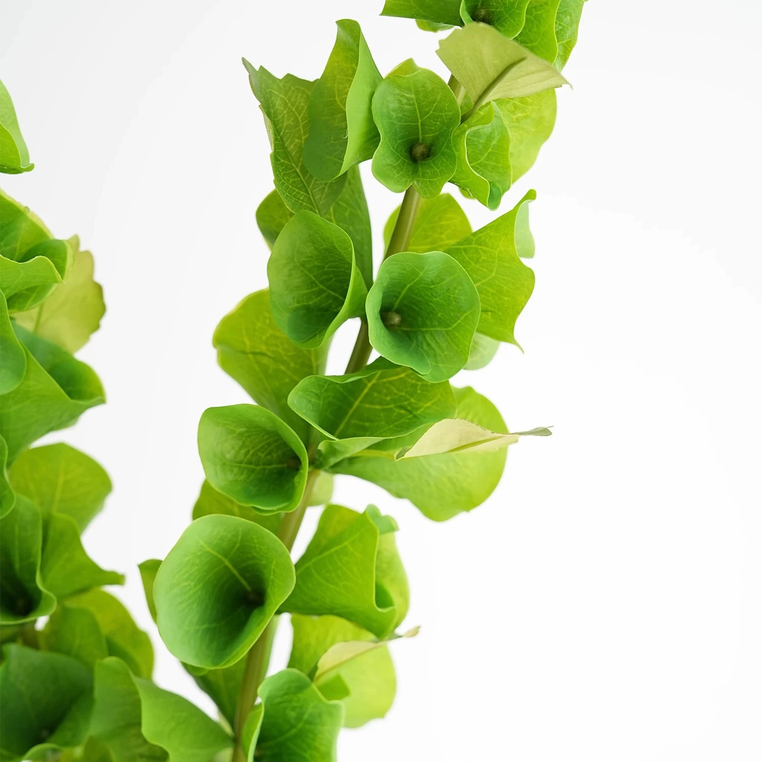 2 pezzi di fiori di conchiglia - Florist Supply Bulk recensione e prezzo