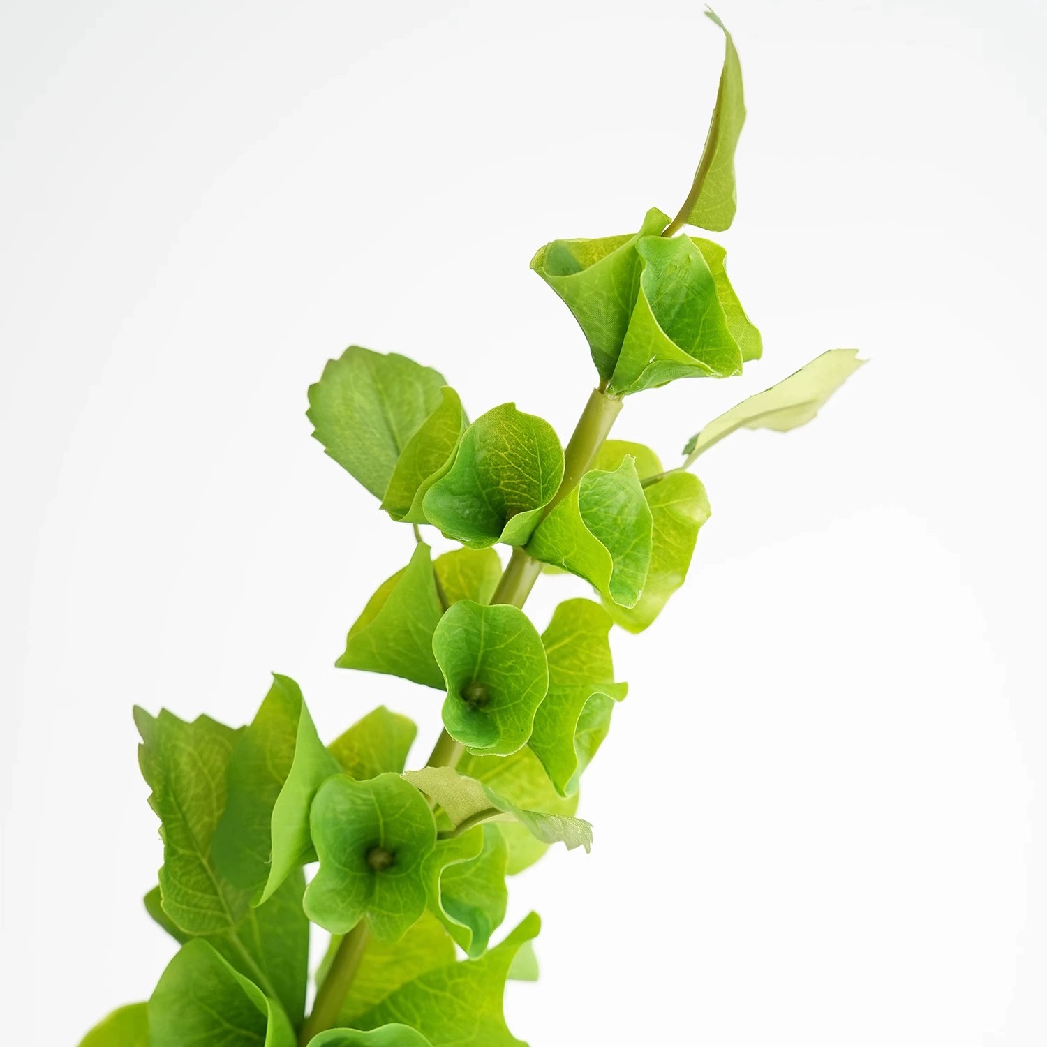 2 pezzi di fiori di conchiglia - Florist Supply Bulk recensione e prezzo